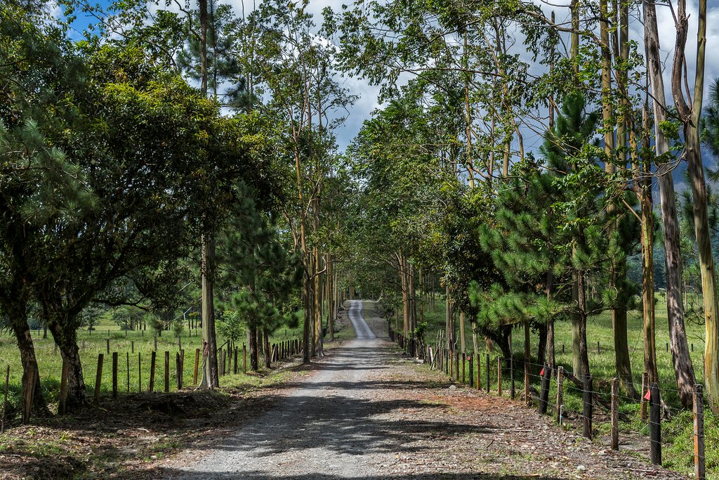 A road leading to Arenal Volcano, Costa Rica