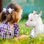 Kids will love meeting some of Norway's animals