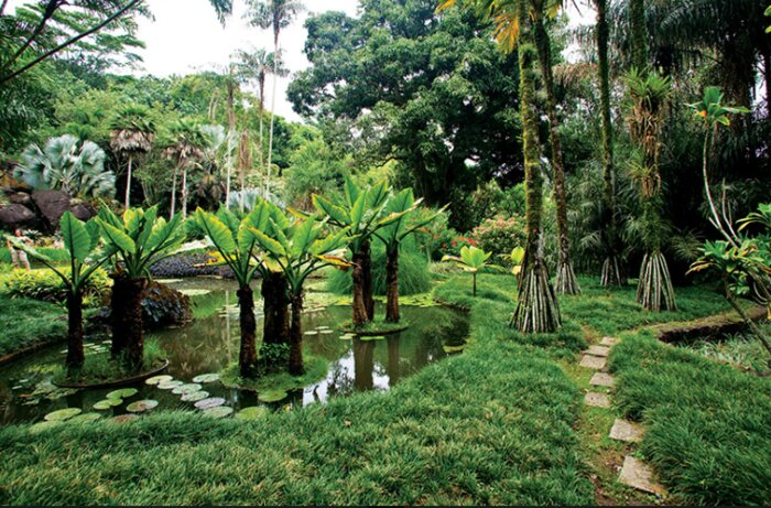 Half-Day Tour of Sitio Burle Marx, Rio de Janeiro