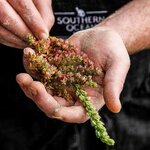 Spend two nights at a resort on Kangaroo Island sampling the sustainable food scene (photo courtesy of Southern Ocean Lodge)