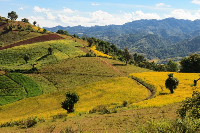 The breathtaking view of the colourful rolllings hills of the Kalaw highlands as seen when trekking from Kalaw to Inle Lake, Myanmar.