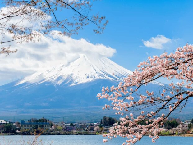 Private transfer from Tokyo to Hakone via Mt. Fuji