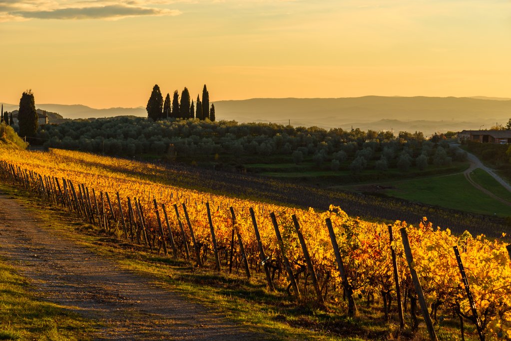 25 most dreamy honeymoon destinations in the world for 2026 13 Image