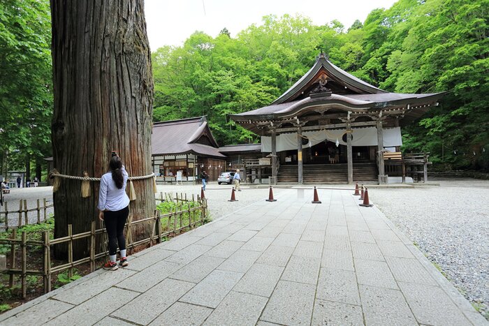 From Scenic Walks to Soba Making: A Cultural Day in Togakushi with Temple Inn Stay