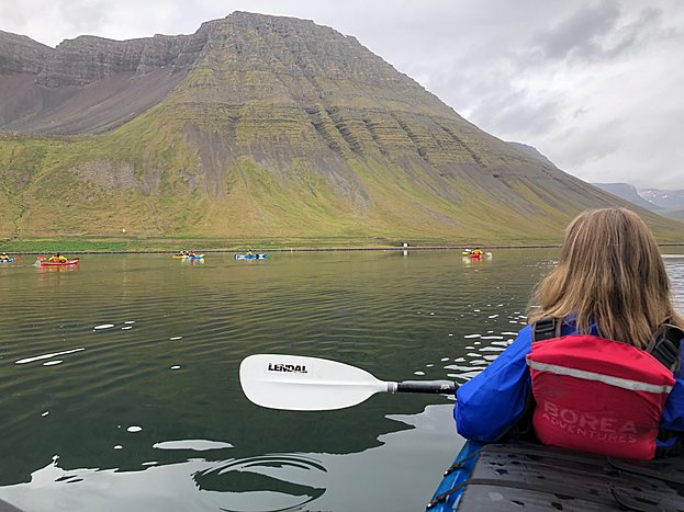 Around and about Isafjordur or Hornstrandir