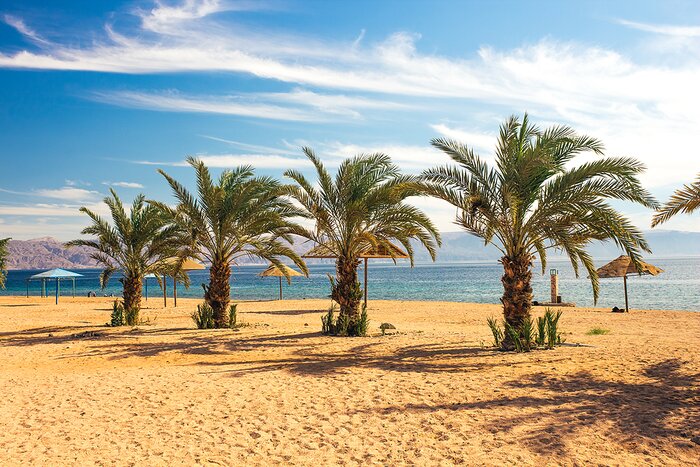 Palms along the Red Sea beaches of Aqaba