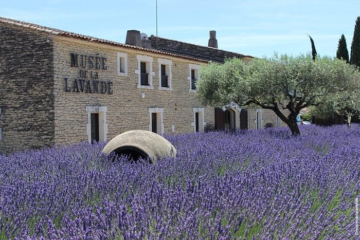 Lavender Museum (entrance tickets with audioguides)