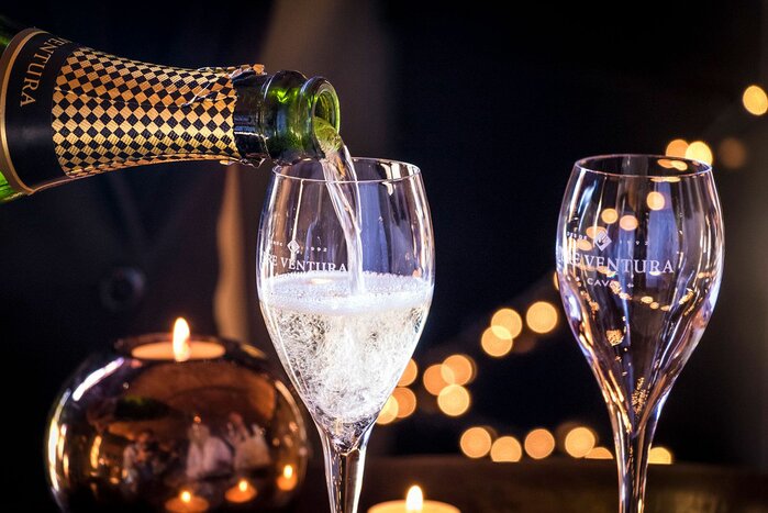 Wine & Cava 4WD Penedés Small Group Experience