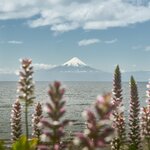 Fly to the Chilean Lakes District, the gateway to Patagonia