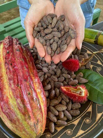 Cacao & Coffee Class at Chachagua Rainforest Lodge