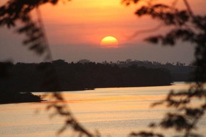 Mangrove Sunset Cruise experience