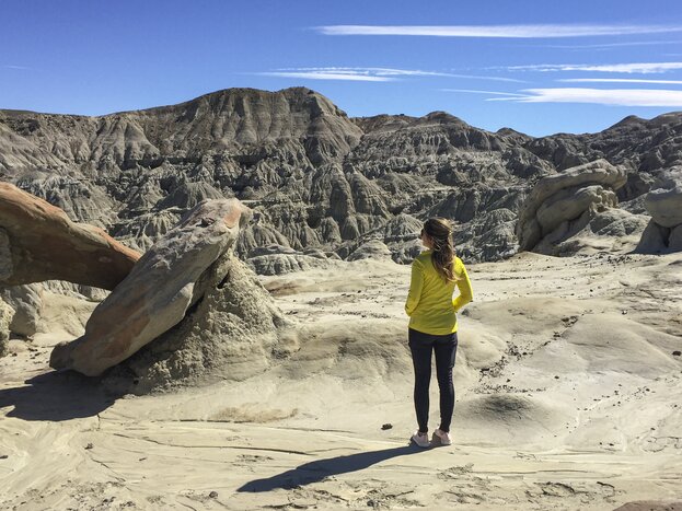 Explore the La Leona Petrified Forest, Transfer to El Chalten