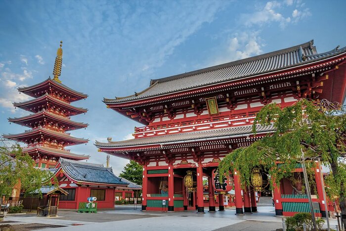 Exploring Tokyo in a Day: Culture, Cuisine, and Serenity Amidst the City