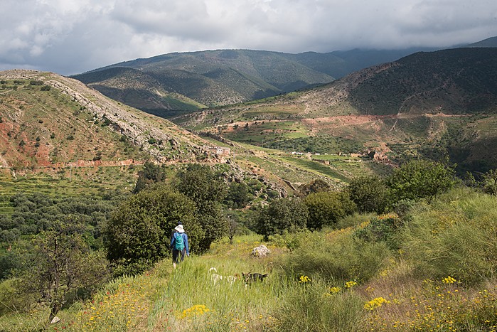 Hike Through Todra Gorges & Oasis for 1 Hour
