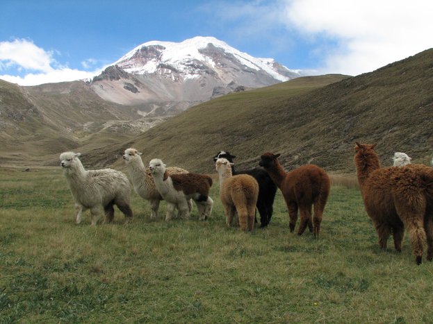 Explore the Chimborazo Volcano