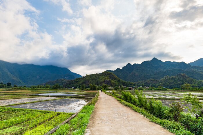 Spend a day hiking through the rice paddies and hillsides of Mai Chau