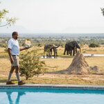 Enjoy gourmet meals and Big Five animal sightings during a luxury safari (photo courtesy of Walkers Plains)