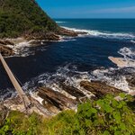 Dare to cross the Storms River Suspension Bridge in Tsitsikamma National Park, Garden Route, South Africa