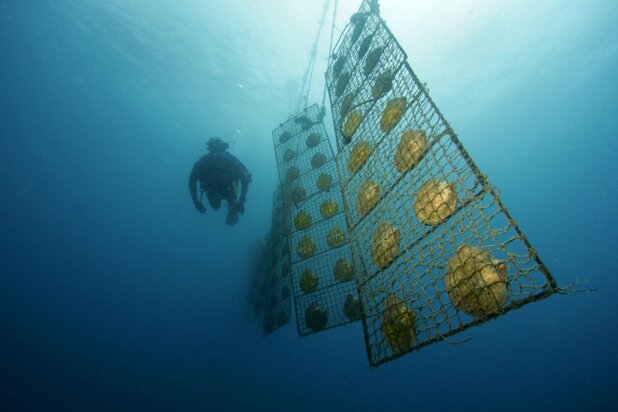 Free Time in Raja Ampat