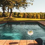 Relax among the vines near Rovinj (photo courtesy of Meneghetti Wine Hotel & Winery)