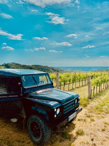 Wine Safari