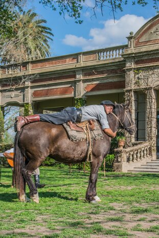 Farm and Countryside Tour