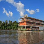 Embark on a luxury cruise through Ecuador's rainforest