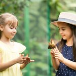 Wander with the kids in Pereira's butterfly vivarium