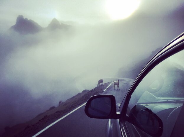 Bike into the Lares Valley