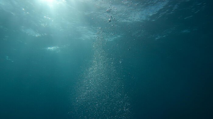 Snorkeling at Vila Franca do Campo