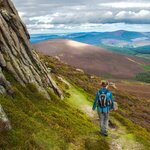 Spend a day in Cairngorms National Park looking for wildlife