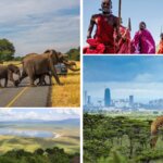 Photos from top left clockwise: Elephants crossing a road in Tanzania,  Maasai people in Kenya, Giraffe in Nairobi National Park, and a lake in Ngorongoro Crater