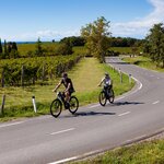Cycle through the French countryside to Saint-Émilion, Mouleydier, and Sarlat-la-Canéda