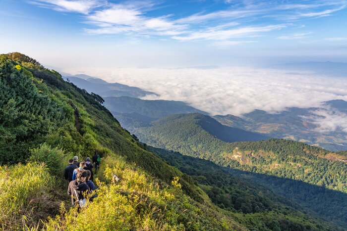 Take a trek up the Kew Mae Pan Nature Trail at Doi Inthanon, Thailand's highest peak