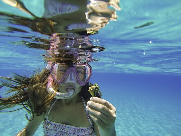 Snorkeling Adventure