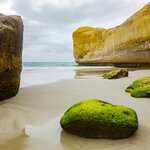 Discover the wild coastline of the Otago Peninsula on this 21-day road trip