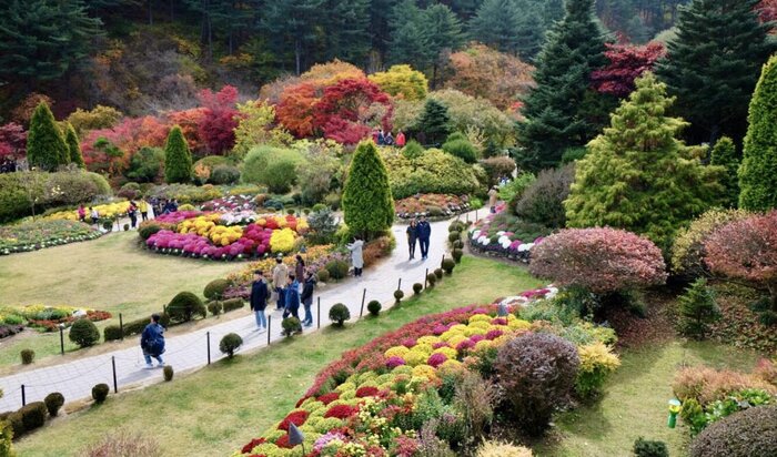 Spring Colors: Garden of Morning Calm and Nami Island