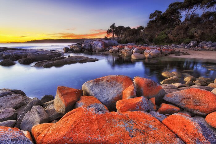 Admire the colorful landscapes at Bay of Fires, Tasmania