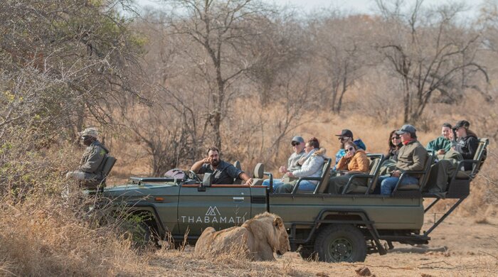Thabamati Luxury Safari Camp Safari Days
