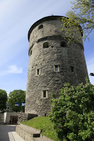 Guided City Tour in Tallinn