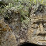 Explore mysterious Isla Floreana and discover its stone sculptures