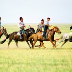 Watch a nomadic horse-breeding family play a game of shagai in Mongolia