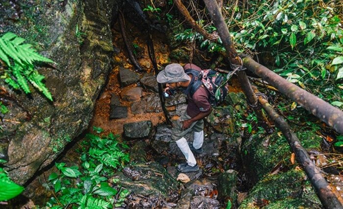Kanneliya Rainforest with a lunch by the stream