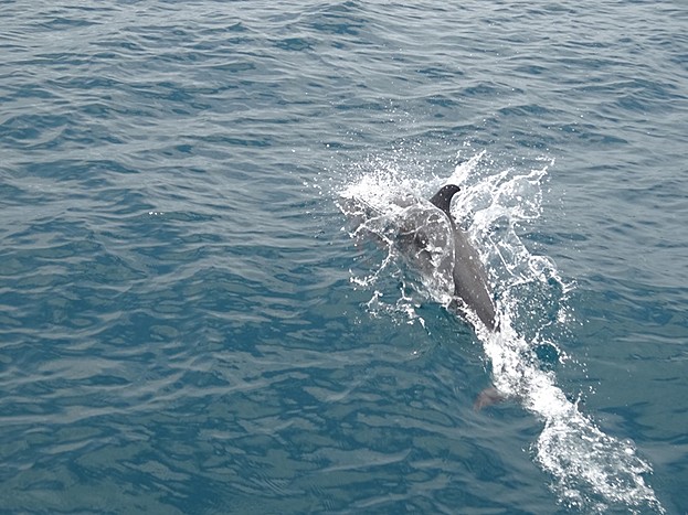 Boca del Drago & Playa de las Estrellas