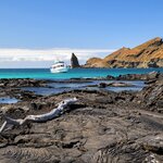 Swim, kayak, and hike the rugged islands of the Galápagos