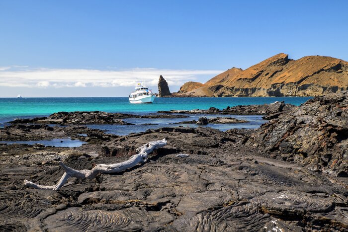 Swim, kayak, and hike the rugged islands of the Galápagos