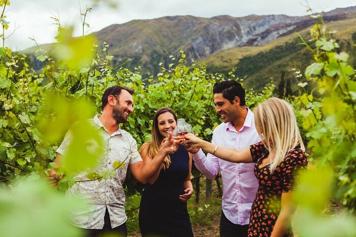 Wine Tasting around Queenstown - including guide