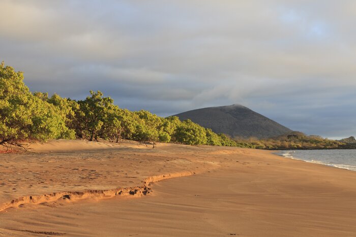 Buccaneer Beach on Isla Santa Cruz