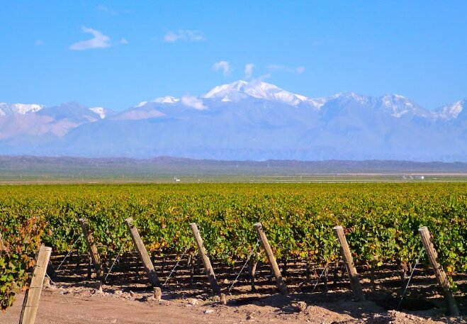 Day at leisure in Mendoza
