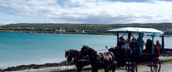A Pony & Trap Tour in Inishmore